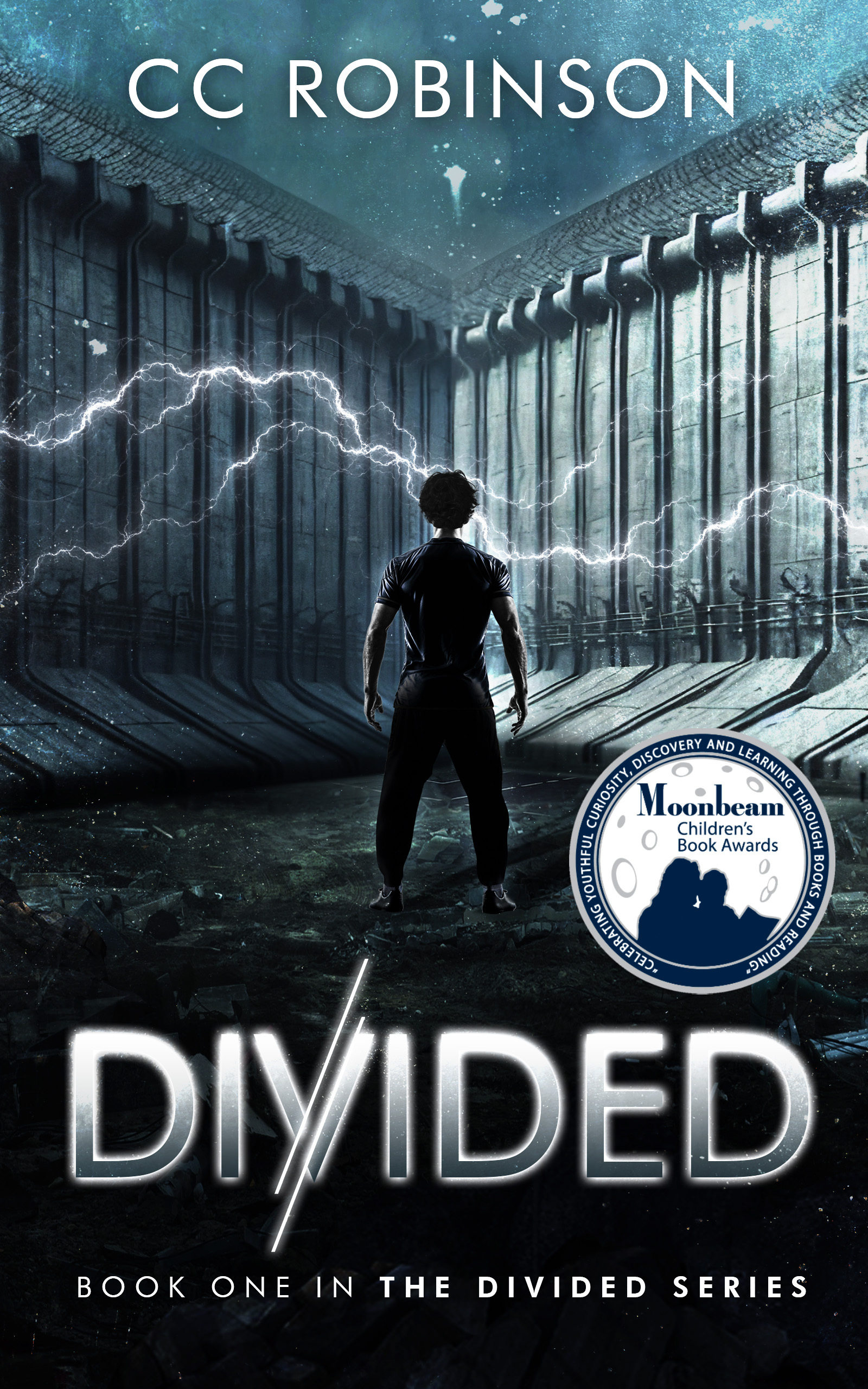 Divided: A Young Adult Dystopian Series